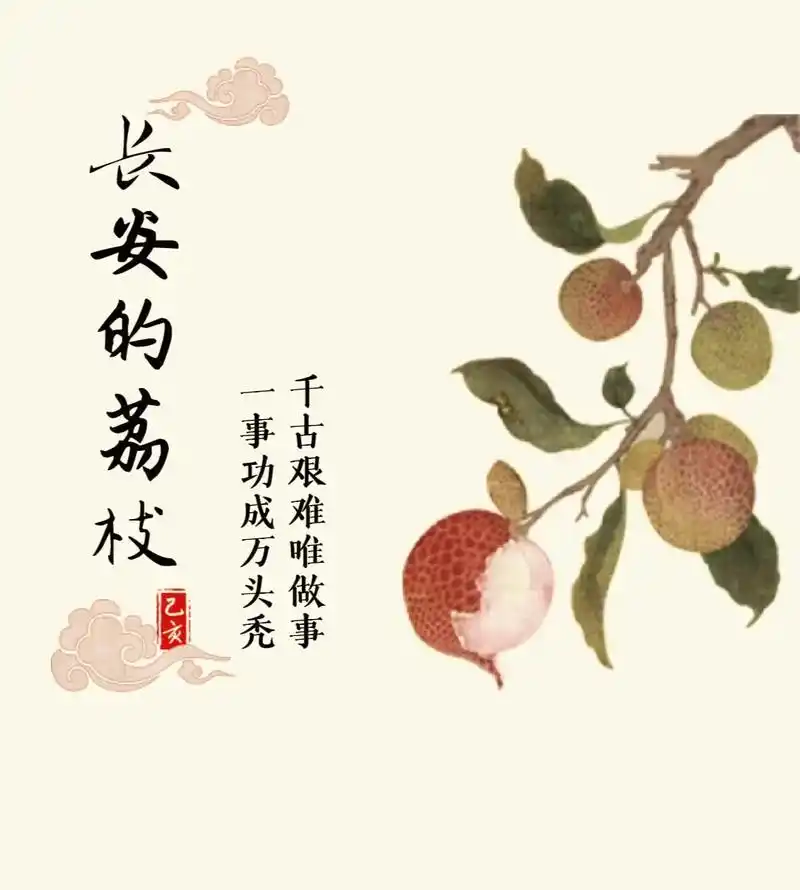 《长安的荔枝》读书感想